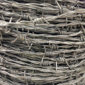 Galvanized Barbed Iron Wire Fencing